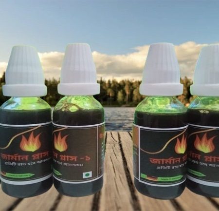 জার্মান প্লাস -২